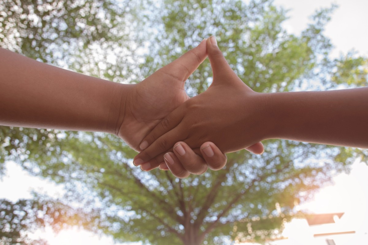 helping, holding hands under the canopy of a tree